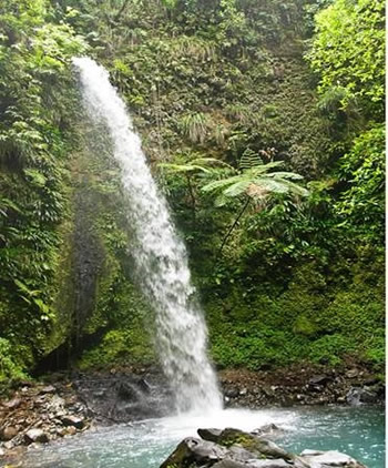 Why Dominica